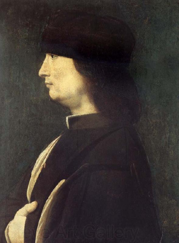 BOLTRAFFIO, Giovanni Antonio Portrait of a Gentleman Norge oil painting art